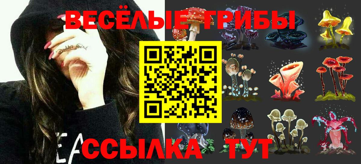 Энгельс  Псилоцибиновые грибы GOLDEN TEACHER  Вход с VPN 